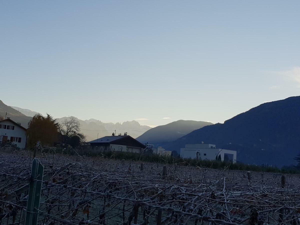 Domus Rose Rooms Bolzano Kültér fotó