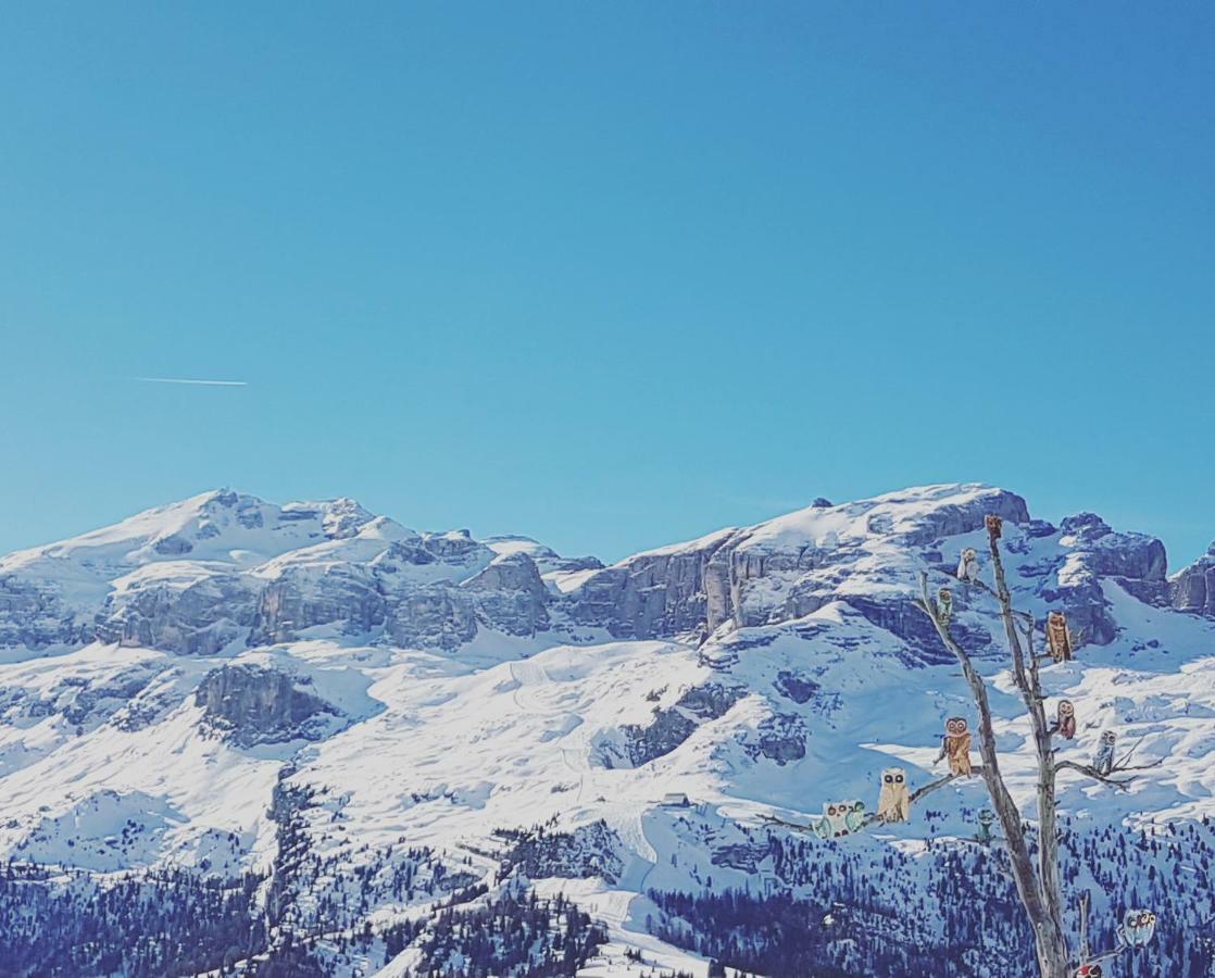 Domus Rose Rooms Bolzano Kültér fotó