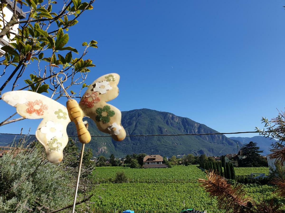 Domus Rose Rooms Bolzano Kültér fotó