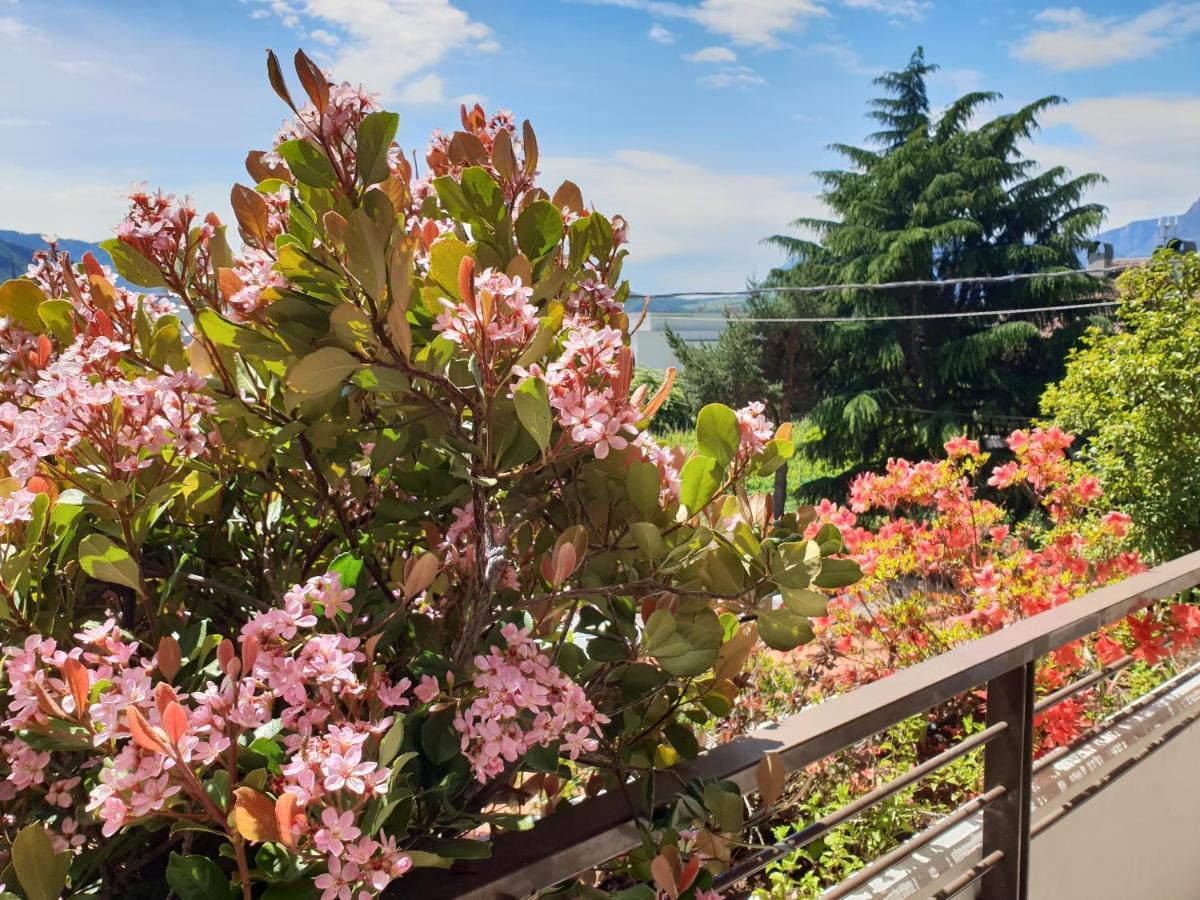 Domus Rose Rooms Bolzano Kültér fotó