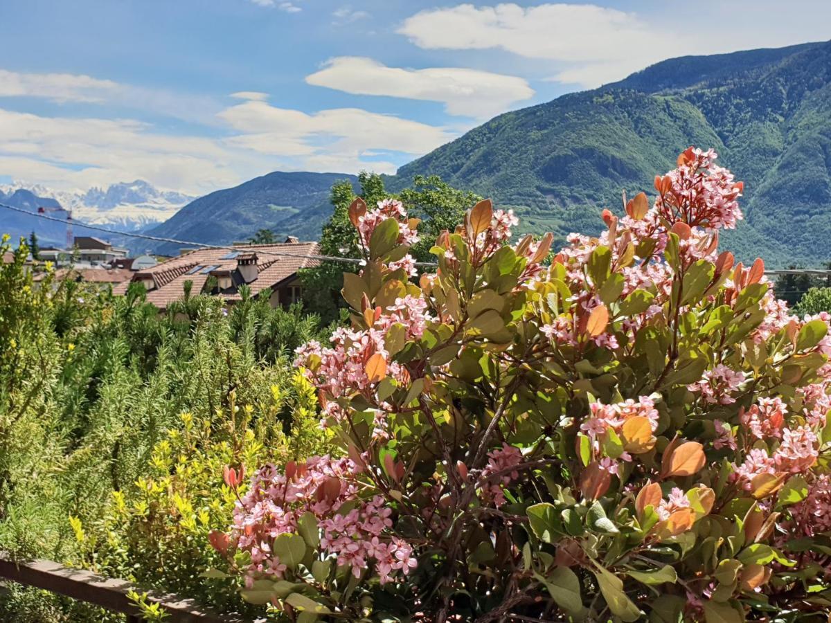 Domus Rose Rooms Bolzano Kültér fotó